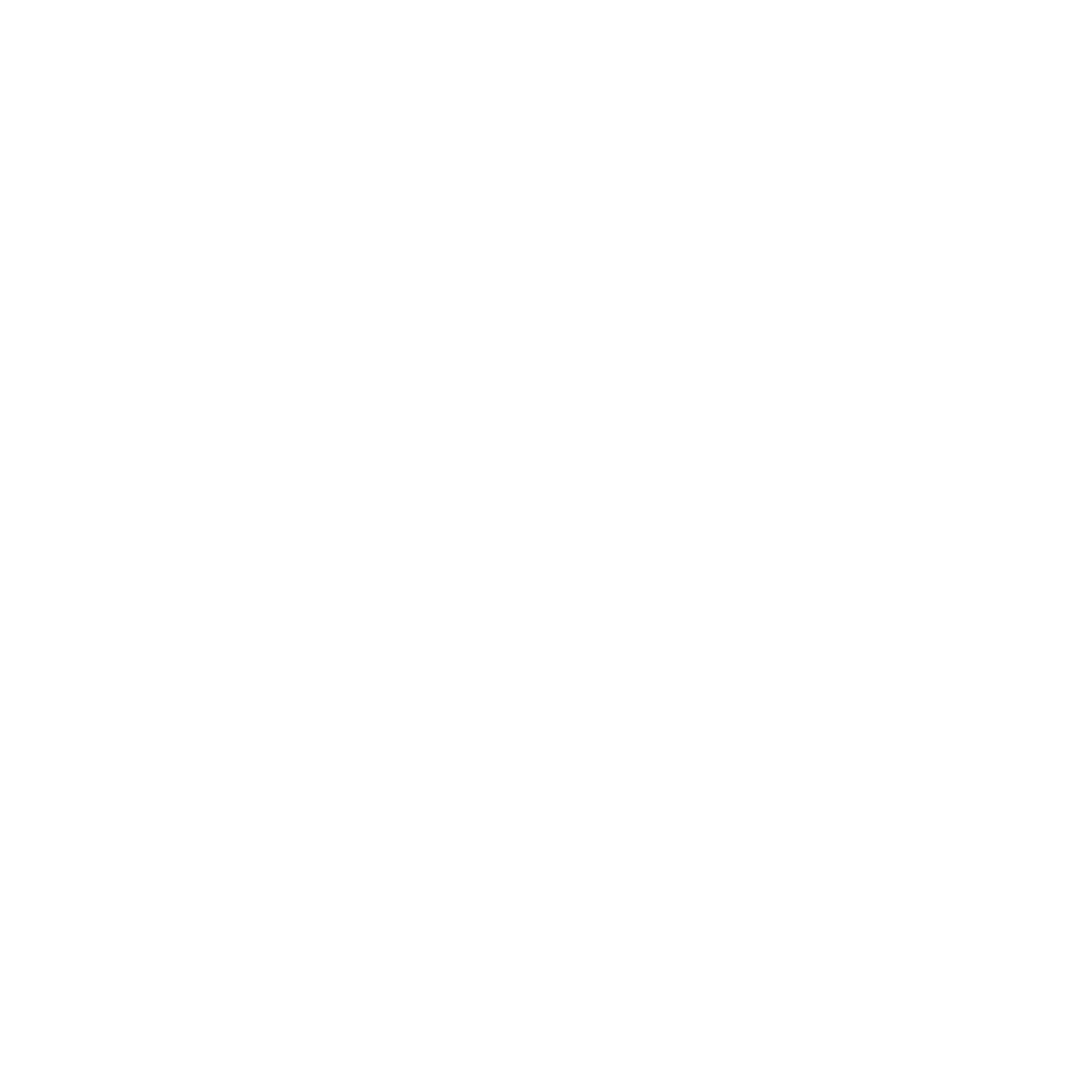 skogen_logo_white_transparent
